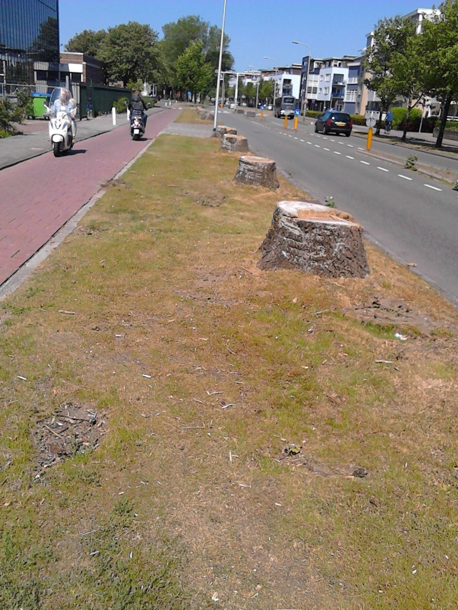 Bomen industrieweg