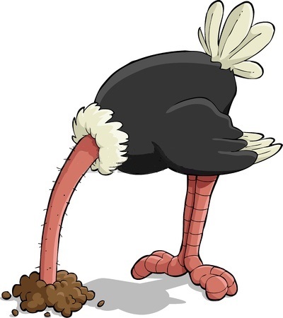 struisvogel politiek