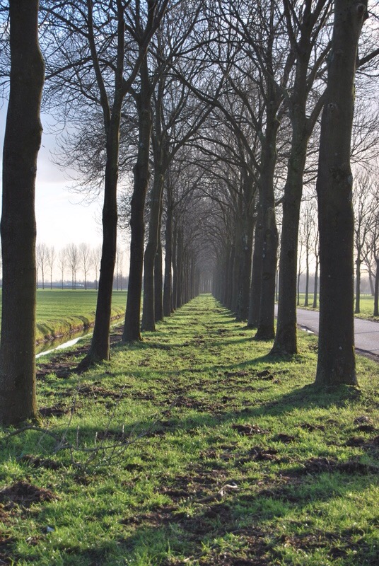 Een Oneindigende weg