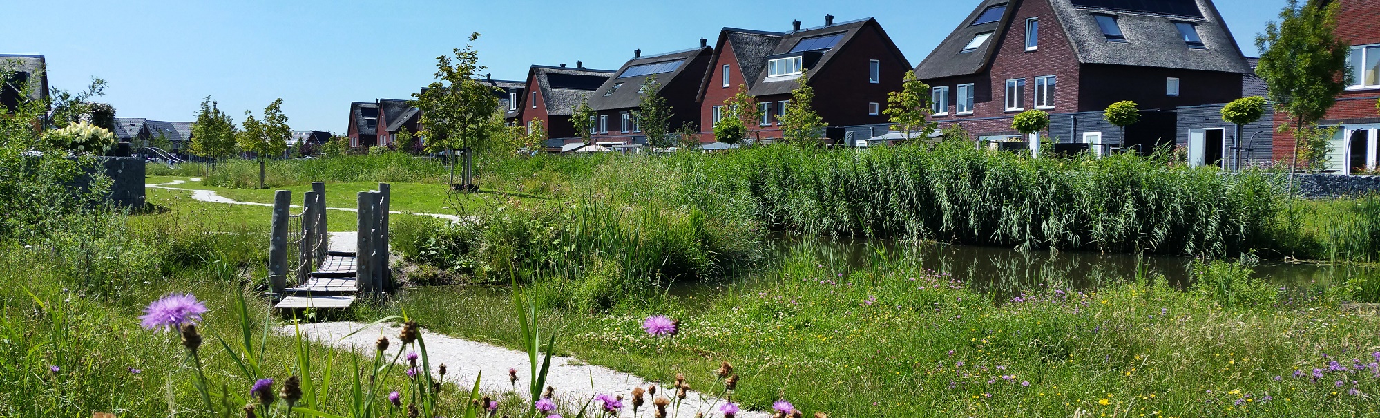 Natuurinclusief bouwen en biodiversiteit